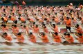 681 - dragon boat racing - FONG Phung Noi - canada